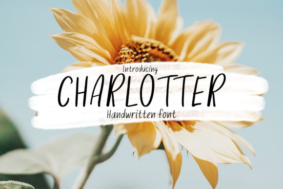 Charlotter: The Handwritten Font That Elevates Your Campaigns