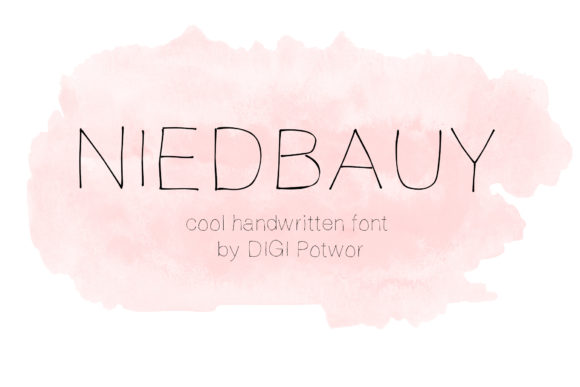 Font Choice That Speaks Volumes: Niedbauy in Action