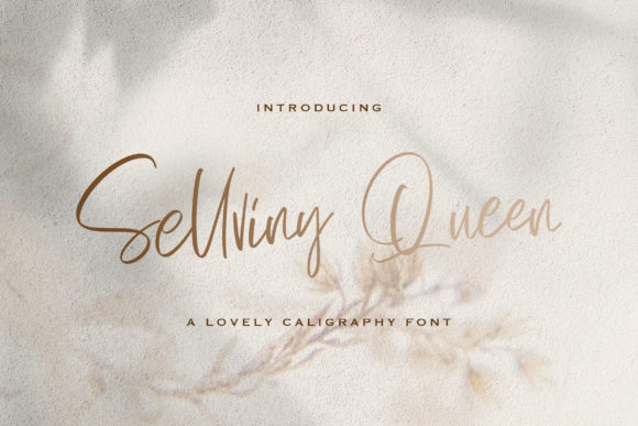 Sellviny Queen: A Charming Font for Branding Projects